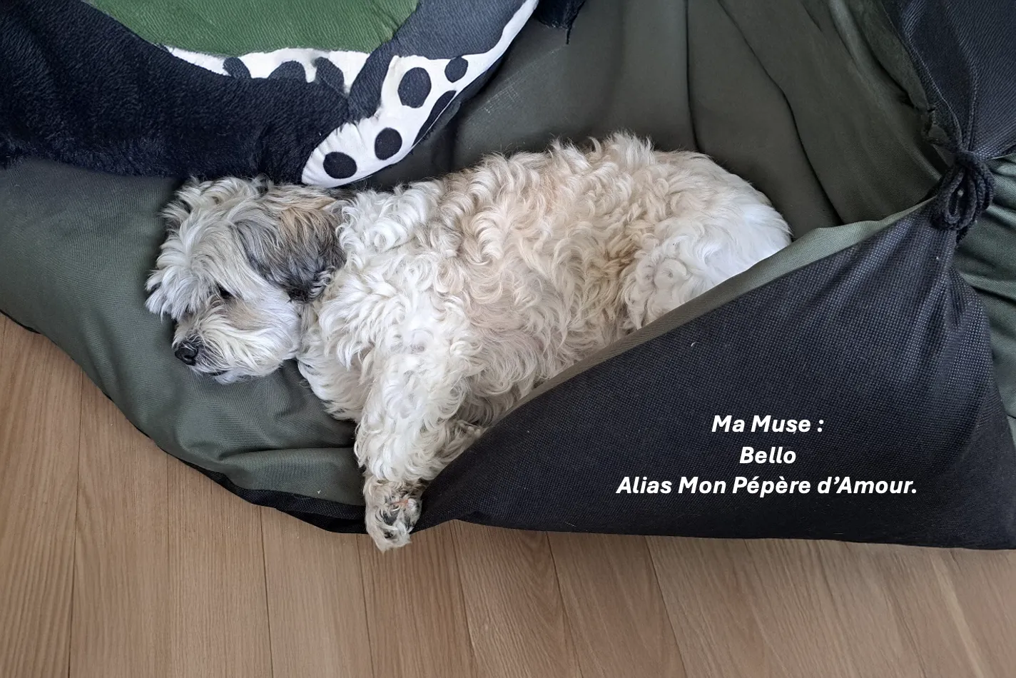 le-developpement-humain-comme-animal-passe-aussi-par-le-confort-et-la-solidarite