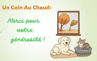 Un Coin au Chaud 2025 : une belle aventure humaine et solidaire