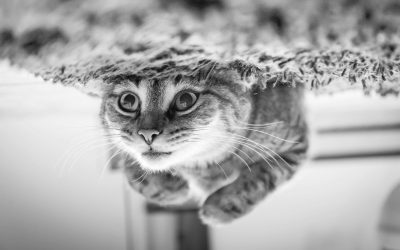 Reconversion douce : changer de voie sans risque